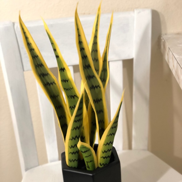 Accents Potted Faux Plant Snake Plant Poshmark